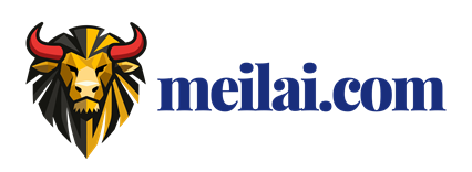 美来 - 连接美好未来 | 港股美股开户及全球资产配置攻略